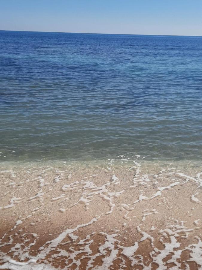 Студия На Белоснежном Пляже Los Locos Torrevieja Esterno foto